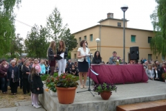 p1010490